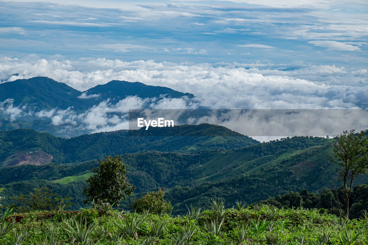 Scenic view of landscape against sky