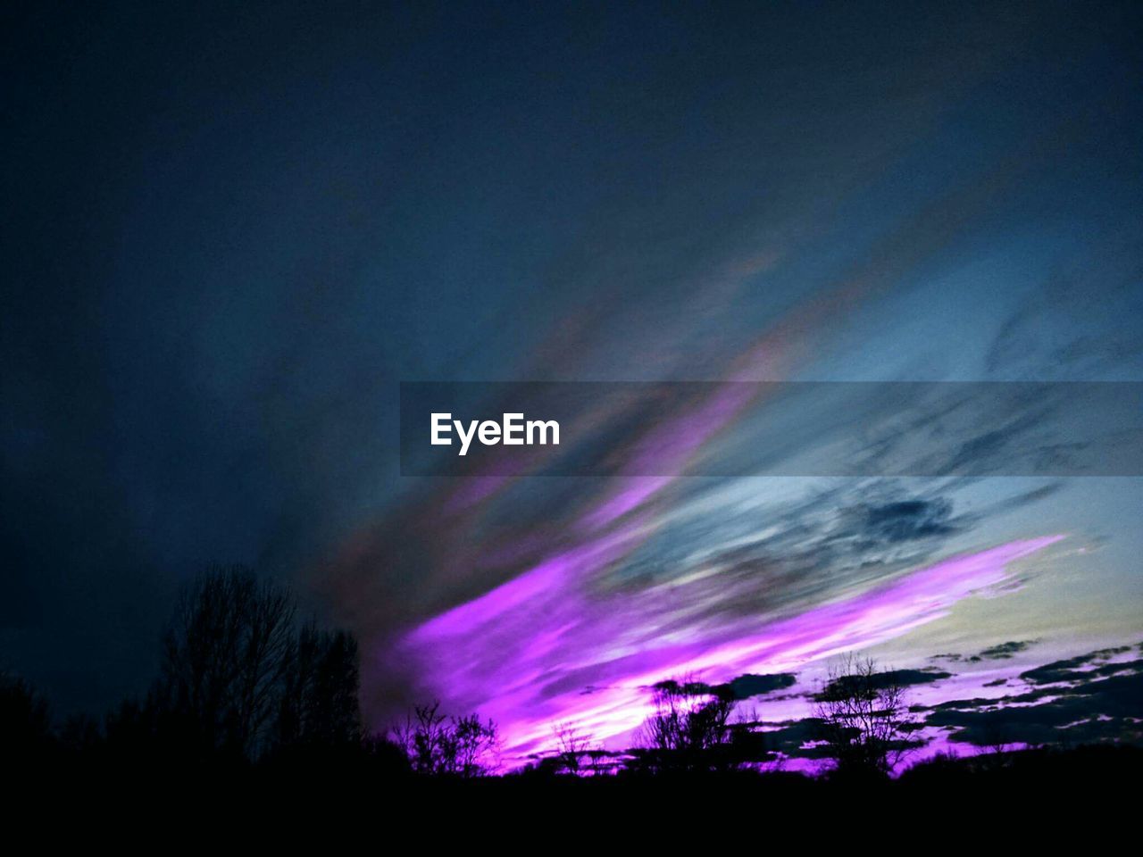 LOW ANGLE VIEW OF SKY OVER TREES