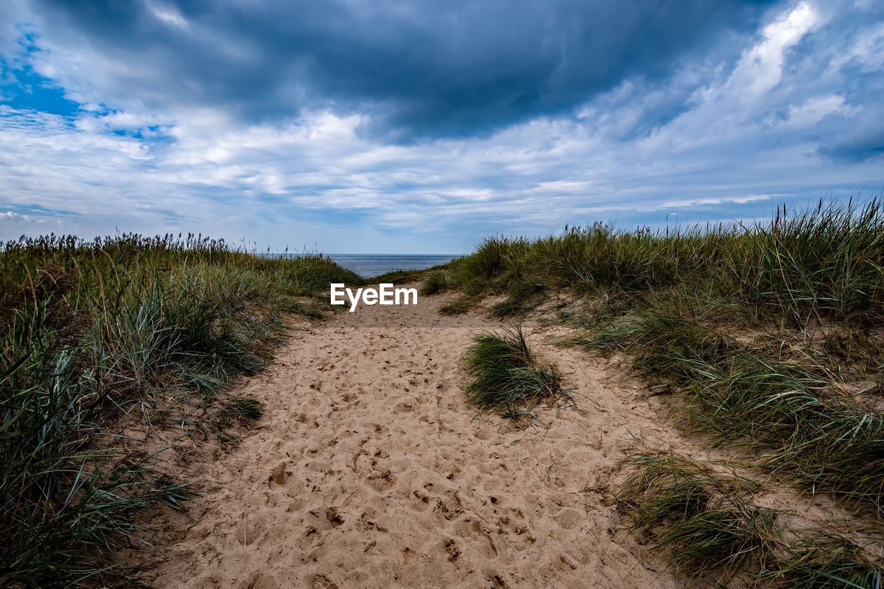 sky, cloud, land, natural environment, landscape, plant, environment, grass, nature, sand, coast, scenics - nature, beauty in nature, sea, sand dune, beach, horizon, no people, marram grass, field, outdoors, tranquility, water, prairie, shore, travel, travel destinations, footpath, cloudscape, dune, hill, rural area, wilderness, dramatic sky, tourism, soil, non-urban scene, blue, day, summer, tranquil scene, grassland, tree