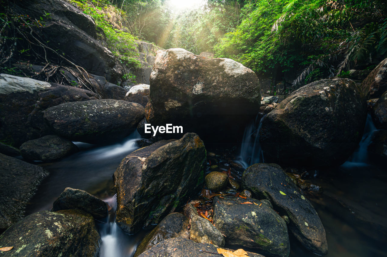 View of waterfall in forest