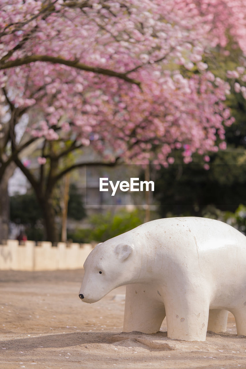 Cute white bear sculpture under the cherry blossoms of asukayama park in tokyo.