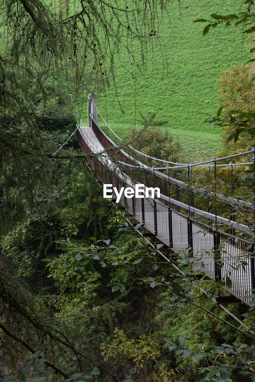 FOOTBRIDGE OVER FOREST