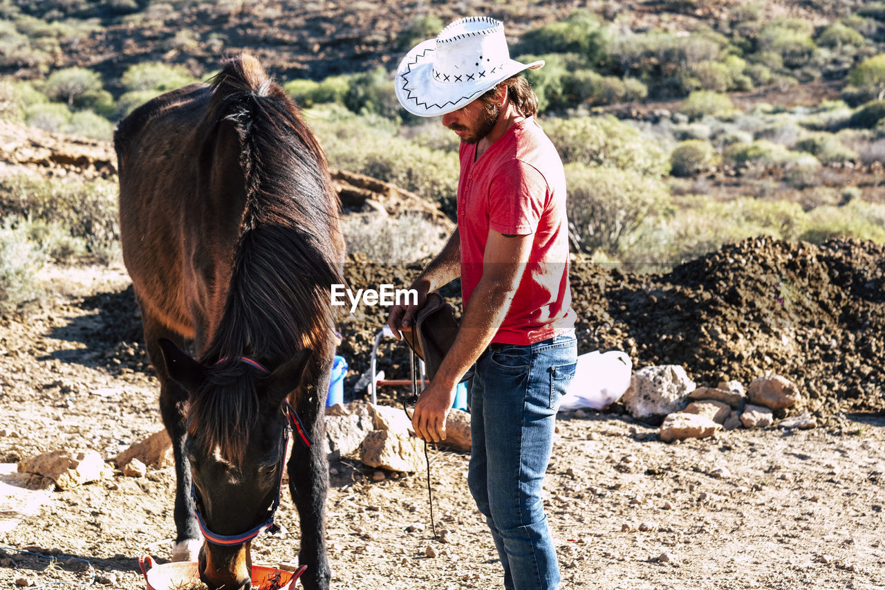 Side view of man and horse standing on land