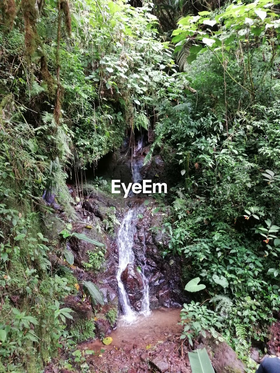 SCENIC VIEW OF WATERFALL