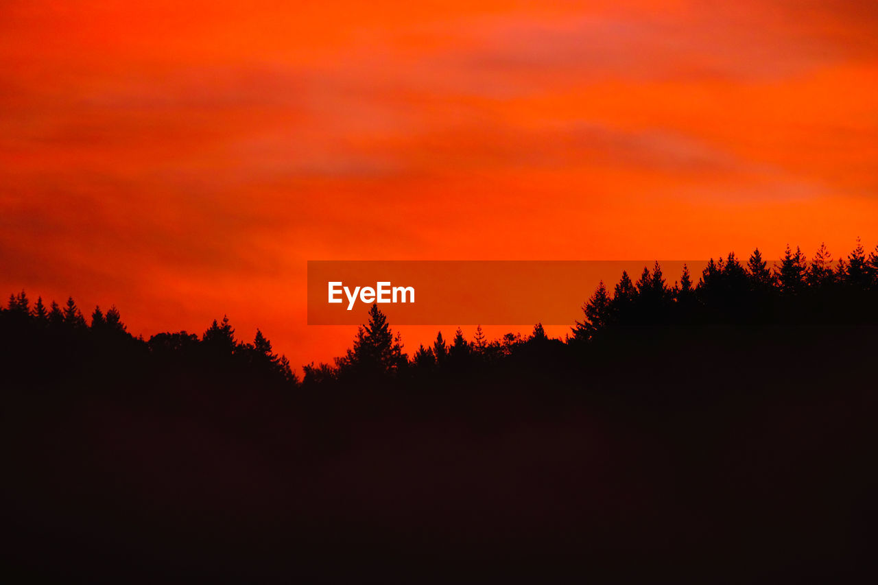 Silhouette trees against dramatic sky during sunset