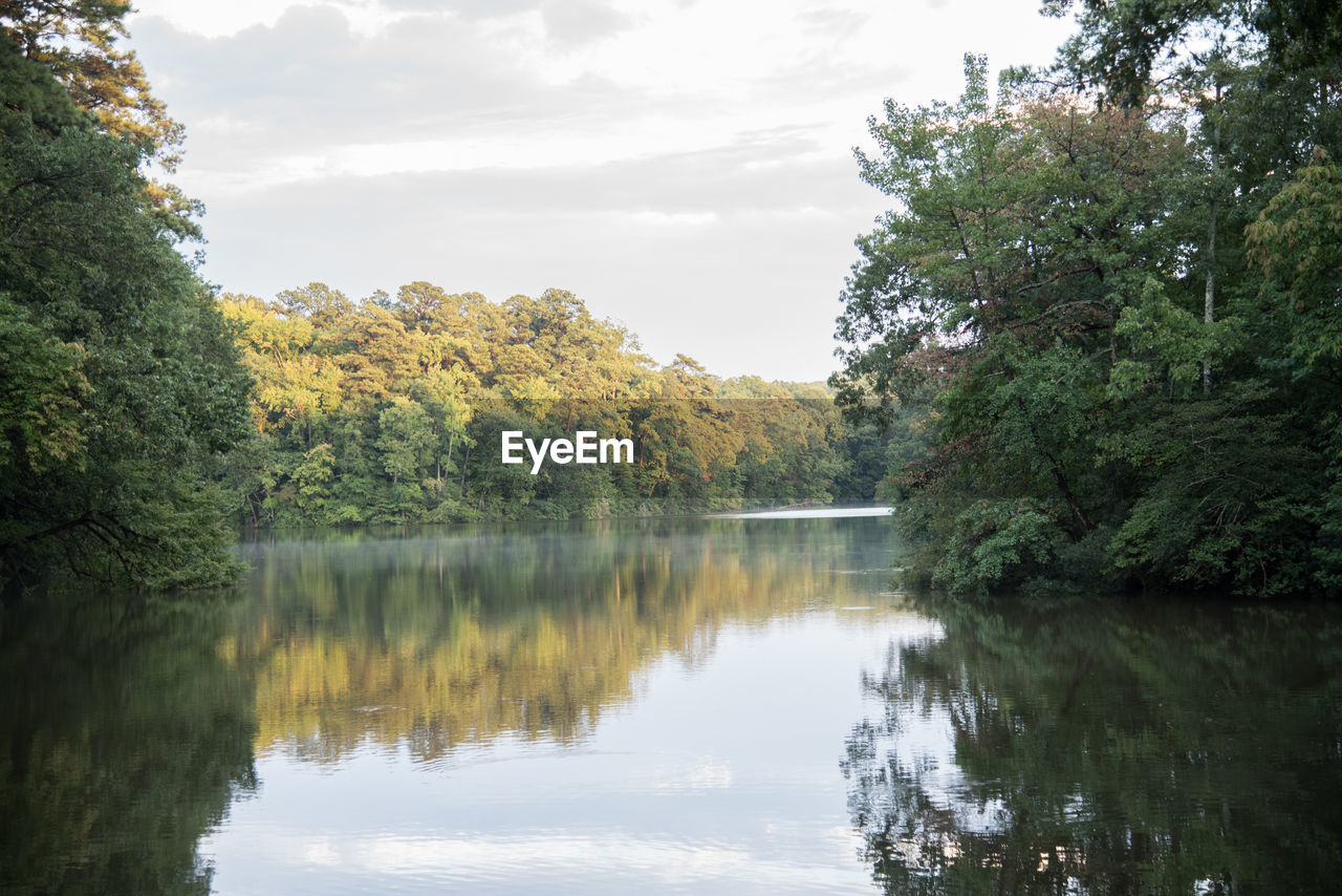 TREES BY LAKE AGAINST SKY