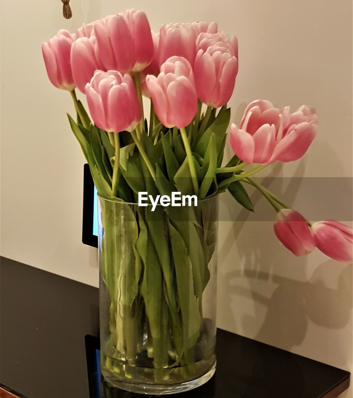 CLOSE-UP OF PINK ROSES IN VASE