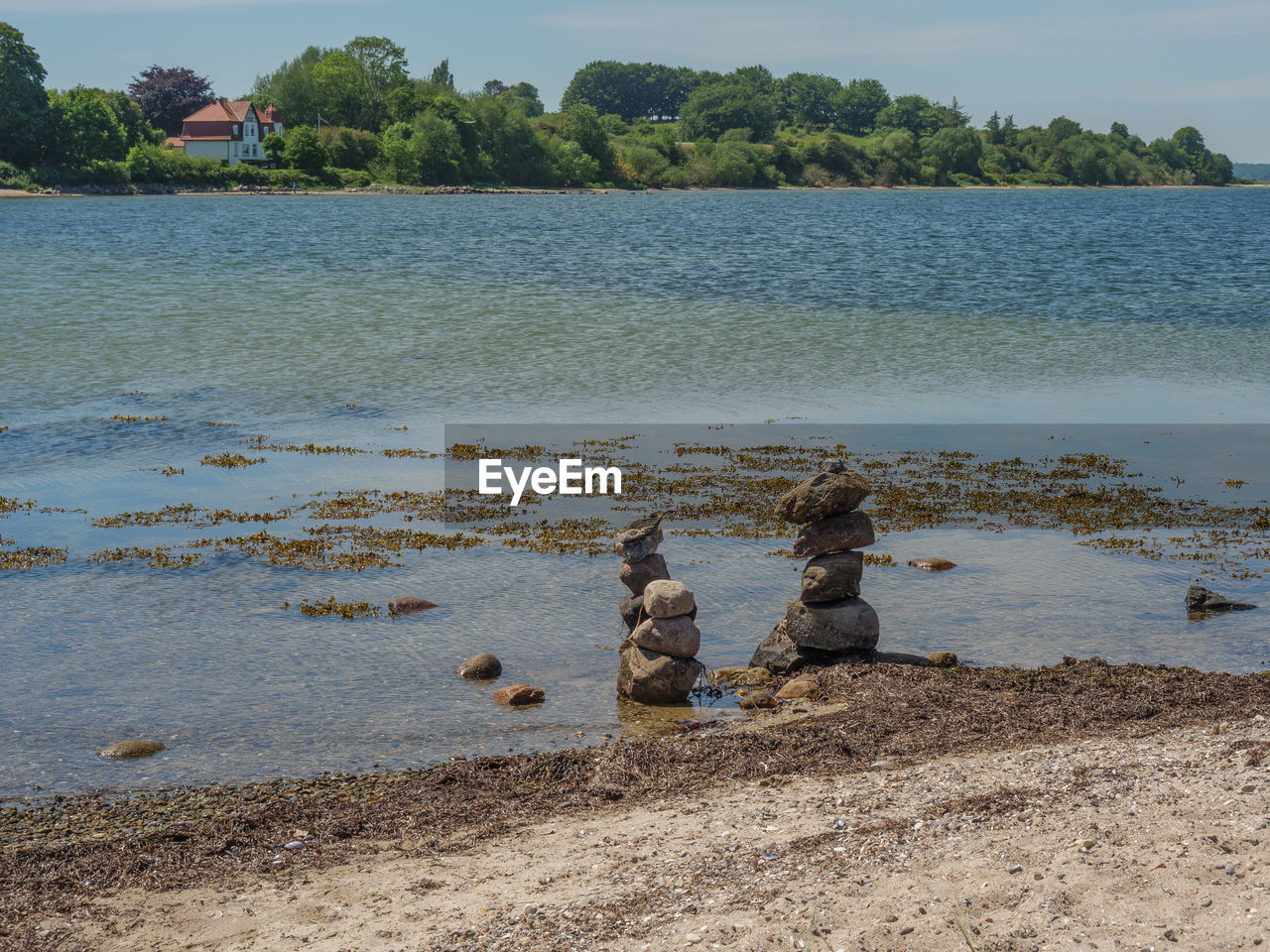 PLANTS AT LAKESHORE