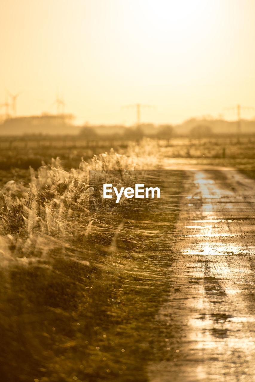 ROAD AMIDST FIELD AGAINST CLEAR SKY