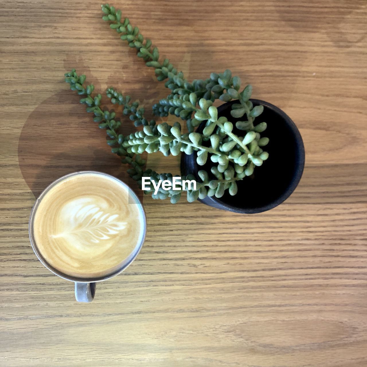 food and drink, table, drink, wood, refreshment, freshness, directly above, still life, food, high angle view, indoors, coffee, cup, no people, plant, green, coffee cup, wellbeing, mug, nature, flower, healthy eating, frothy drink, glass, leaf, produce, drinking glass