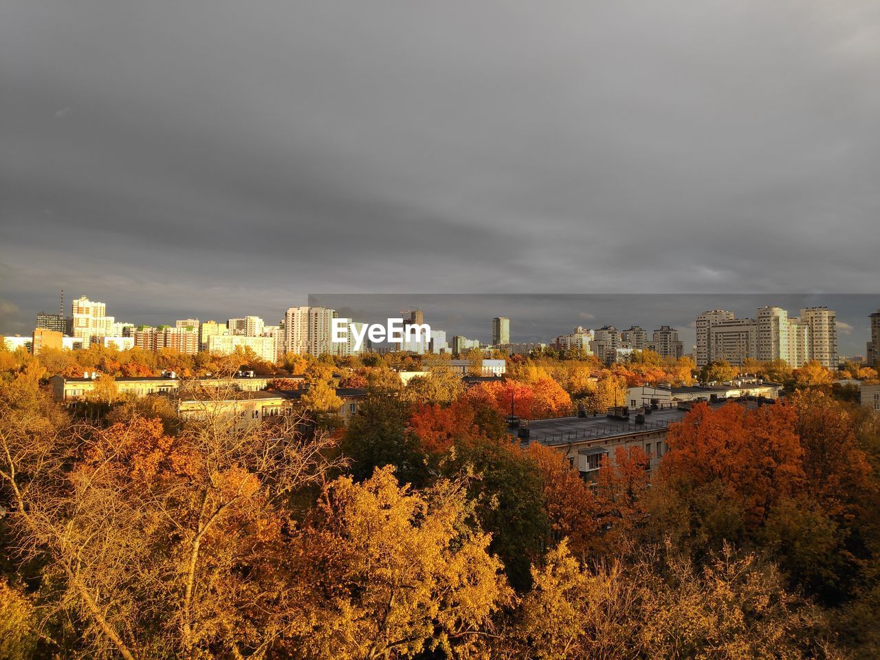 High angle view of trees and buildings against sky