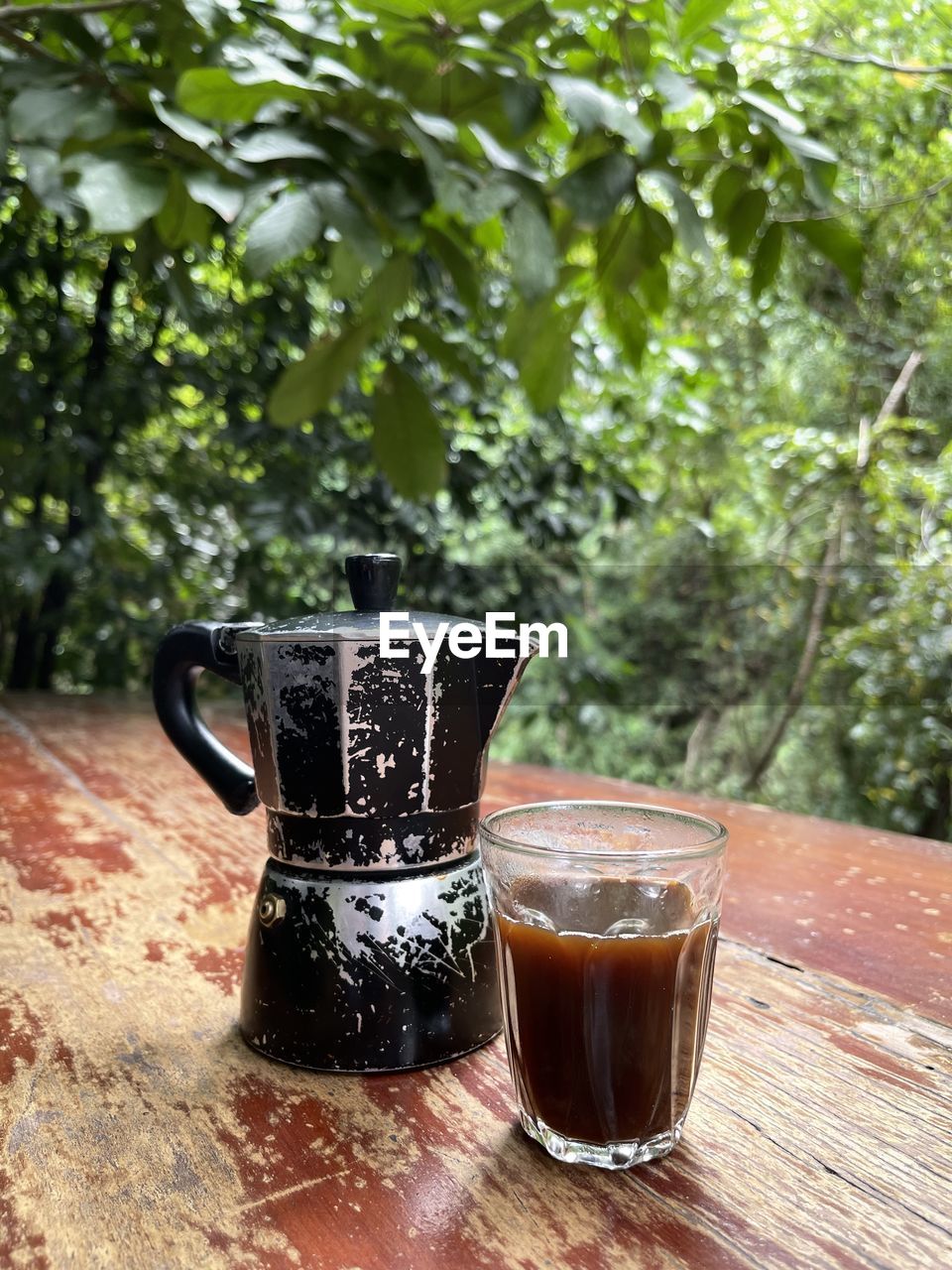 green, nature, tree, water, day, outdoors, no people, close-up, focus on foreground, plant, wood, leaf