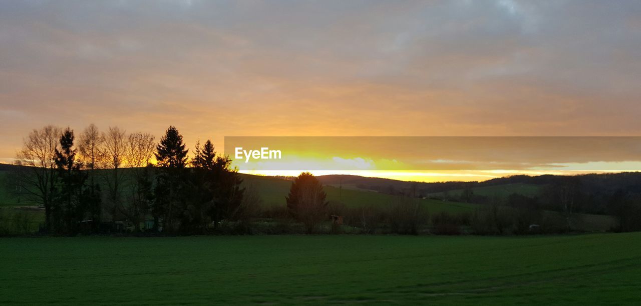 SCENIC VIEW OF TREES AGAINST SKY DURING SUNSET