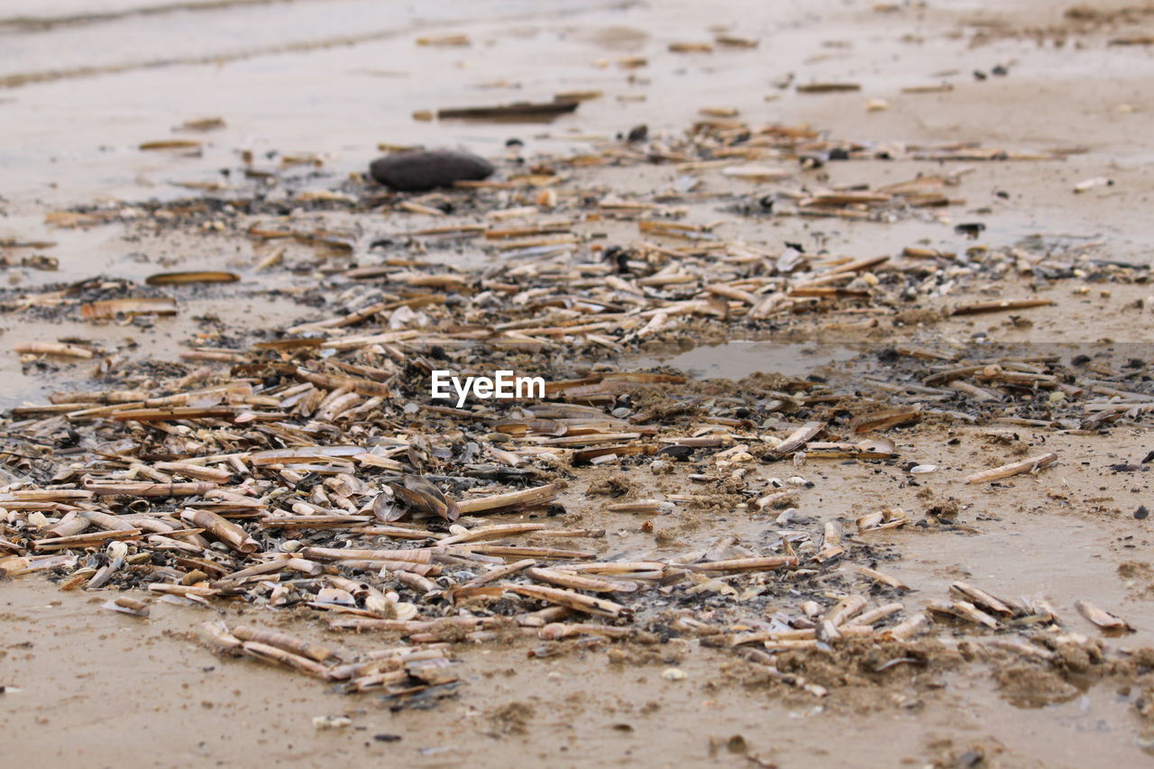 CLOSE-UP OF SAND