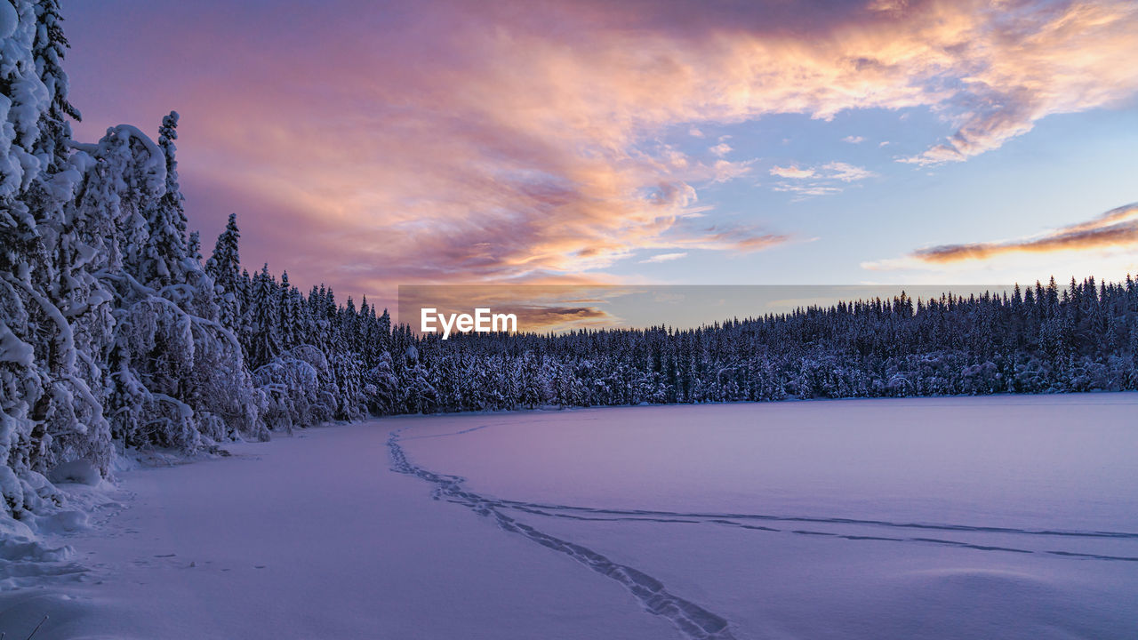 Fagervann lake in winter near oslo