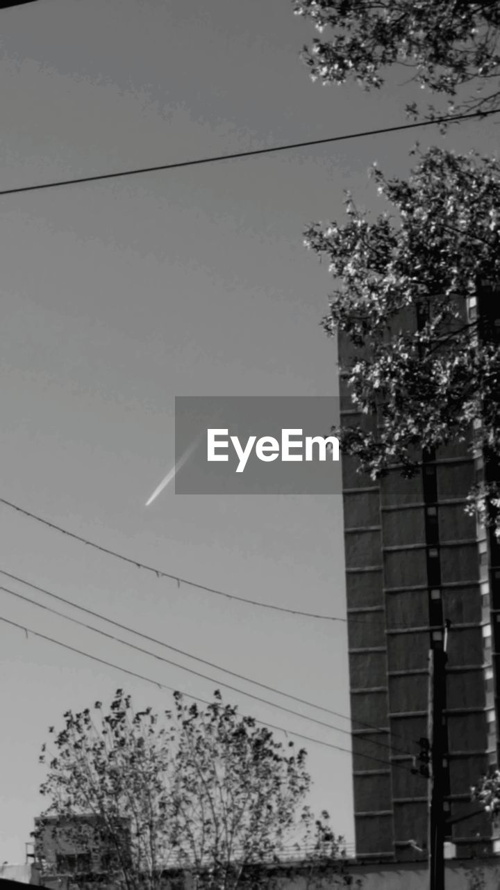 LOW ANGLE VIEW OF TREES AND ELECTRICITY PYLON AGAINST SKY