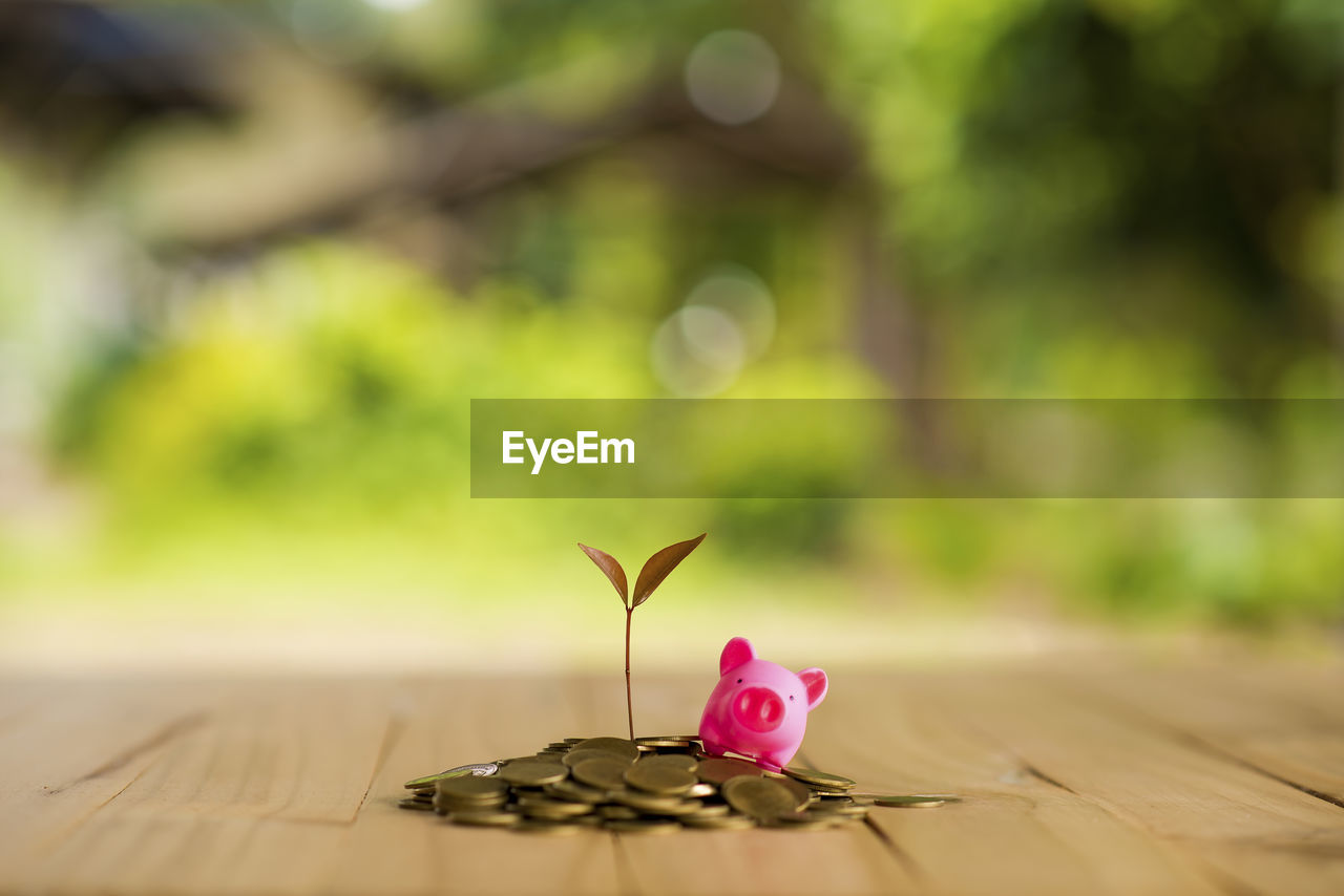 Close-up of coins with piggy bank on table