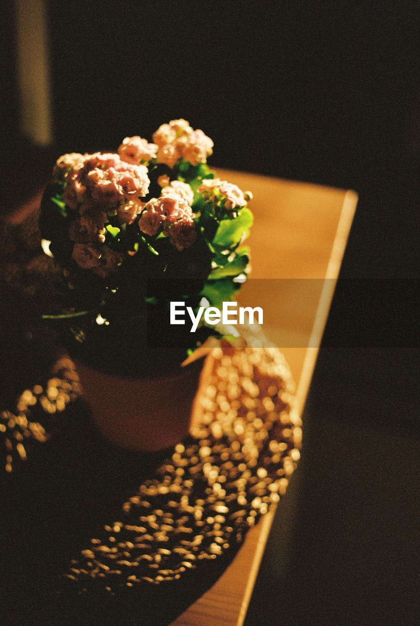 CLOSE-UP OF ICE CREAM ON GLASS TABLE