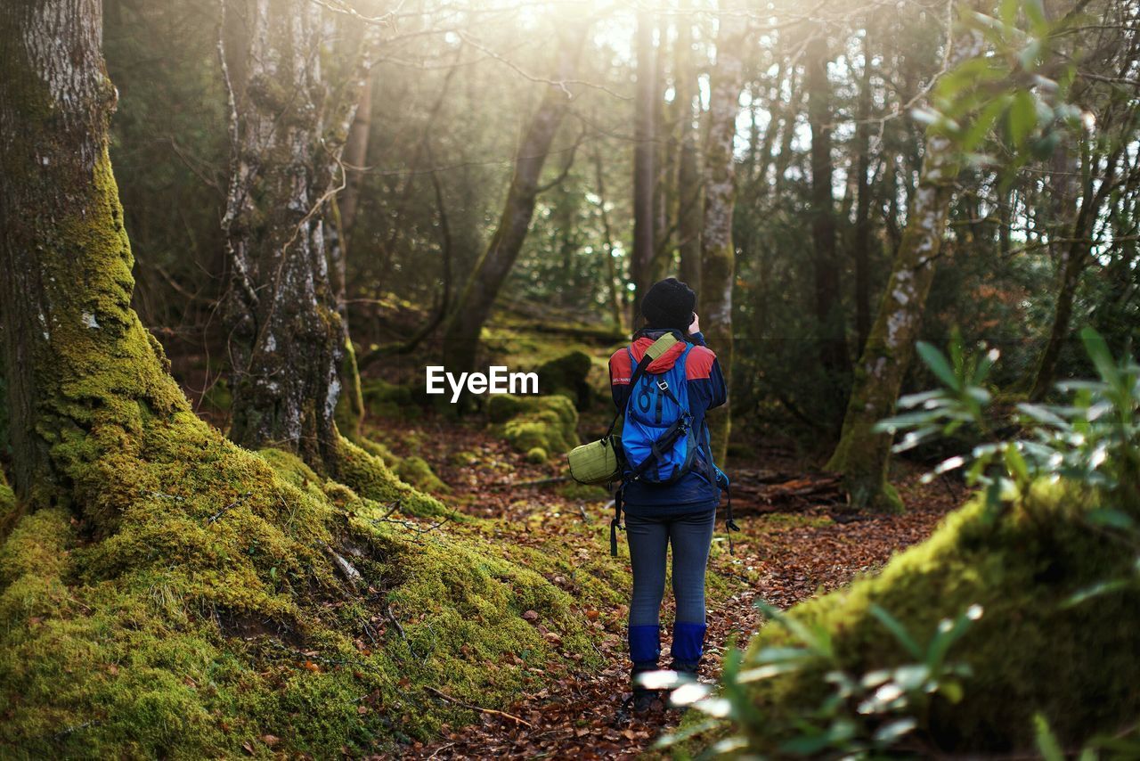 Rear view of woman hiking in forest