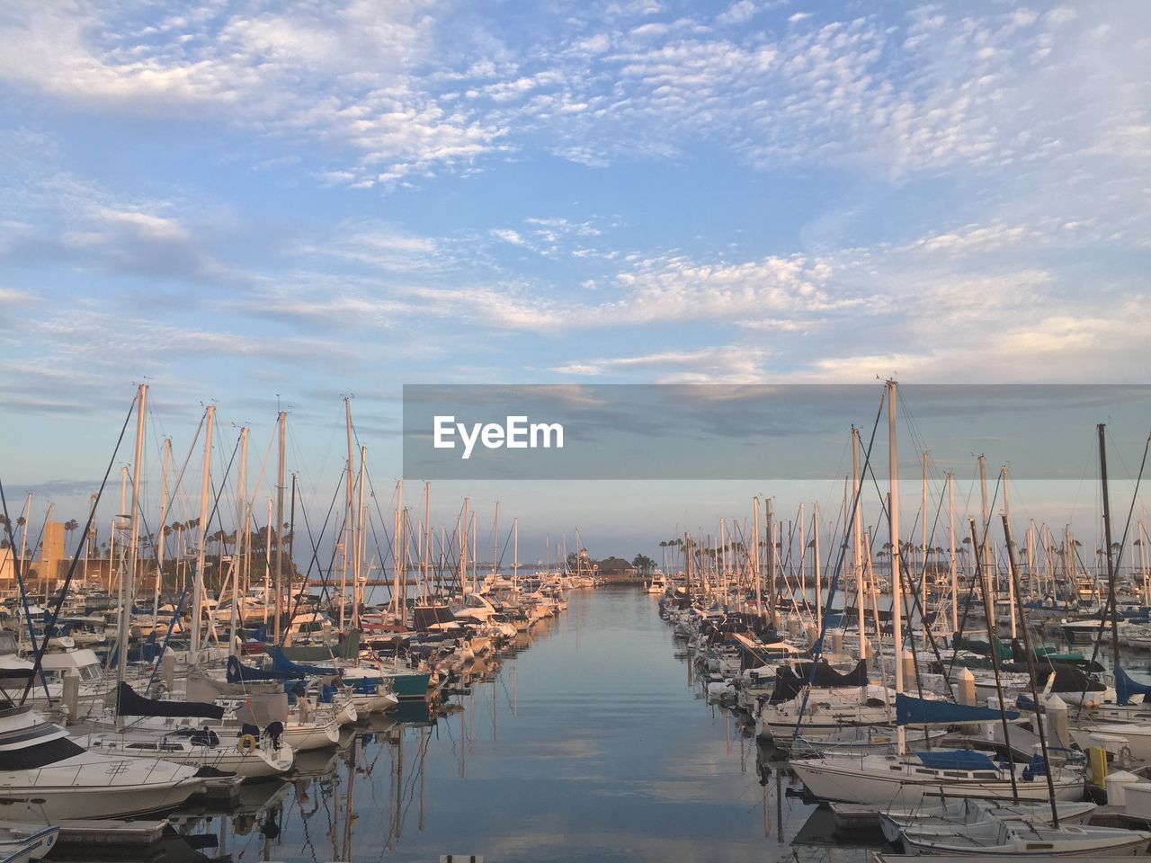 Sailboats moored in harbor