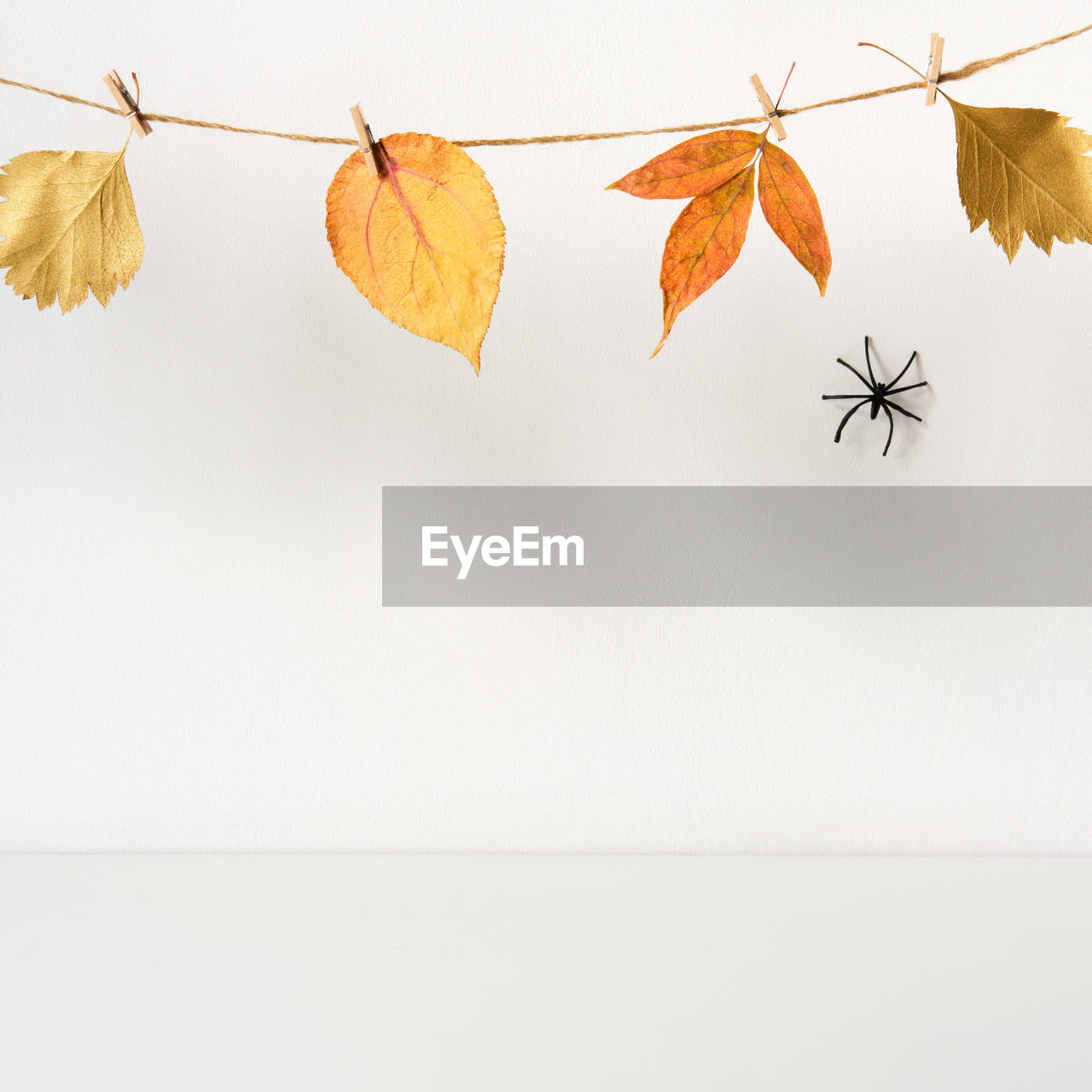 Halloween backdrop with spider and floral garland on table wall background.