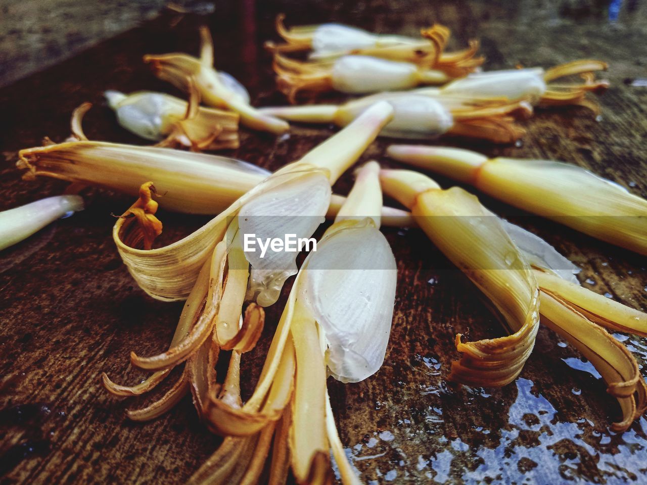 HIGH ANGLE VIEW OF EGGS IN CONTAINER ON TABLE