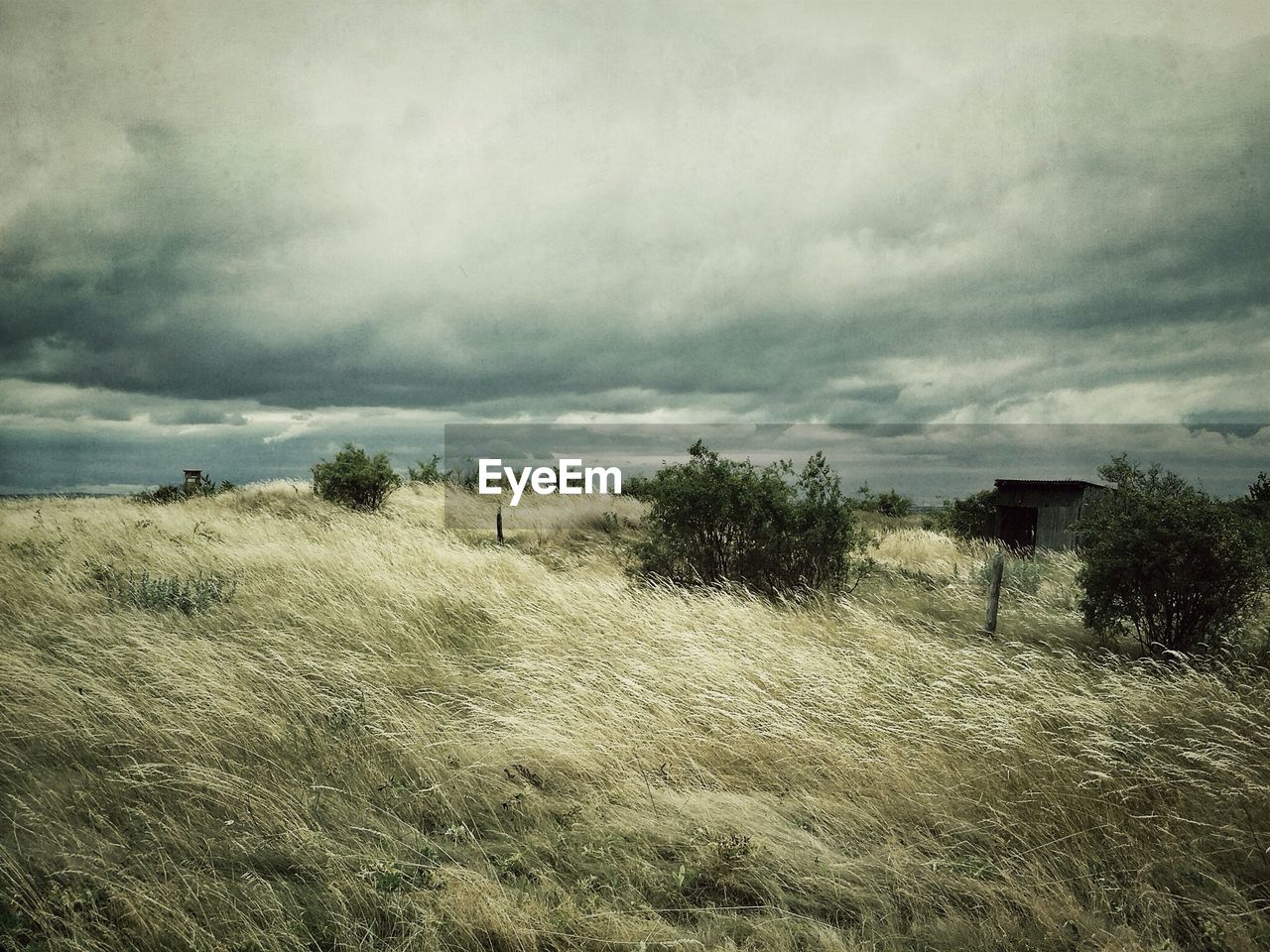 View of field against cloudy sky