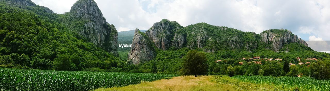 Panoramic view of field against cloudy sky