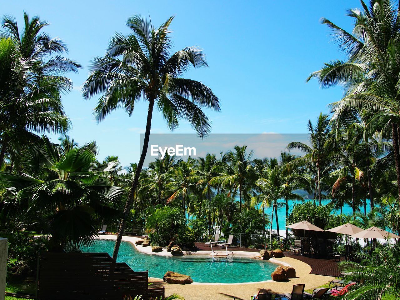 Palm trees at tourist resort against blue sky