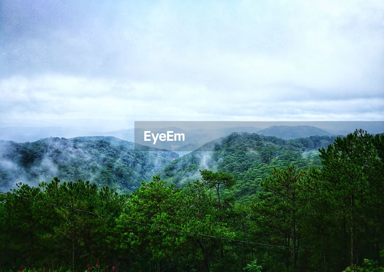 SCENIC VIEW OF FOREST AND MOUNTAINS AGAINST SKY