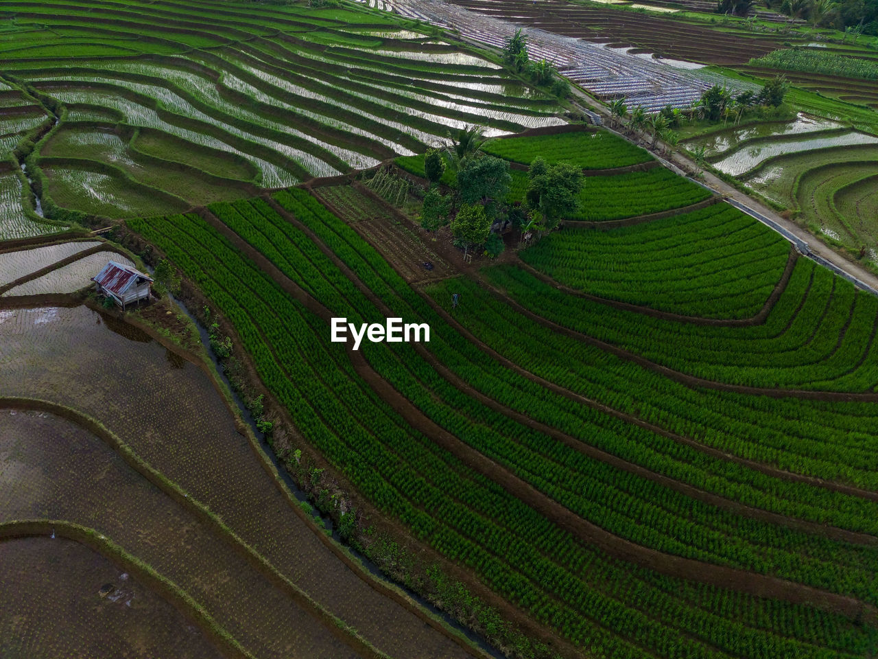 Aerial view beautiful morning view from indonesia about mountain and forest