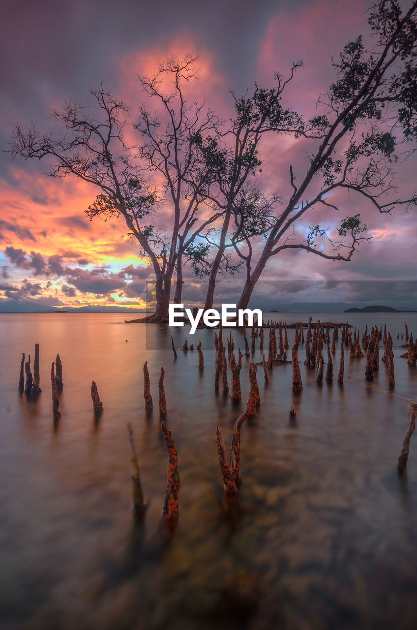 SCENIC VIEW OF SEA DURING SUNSET