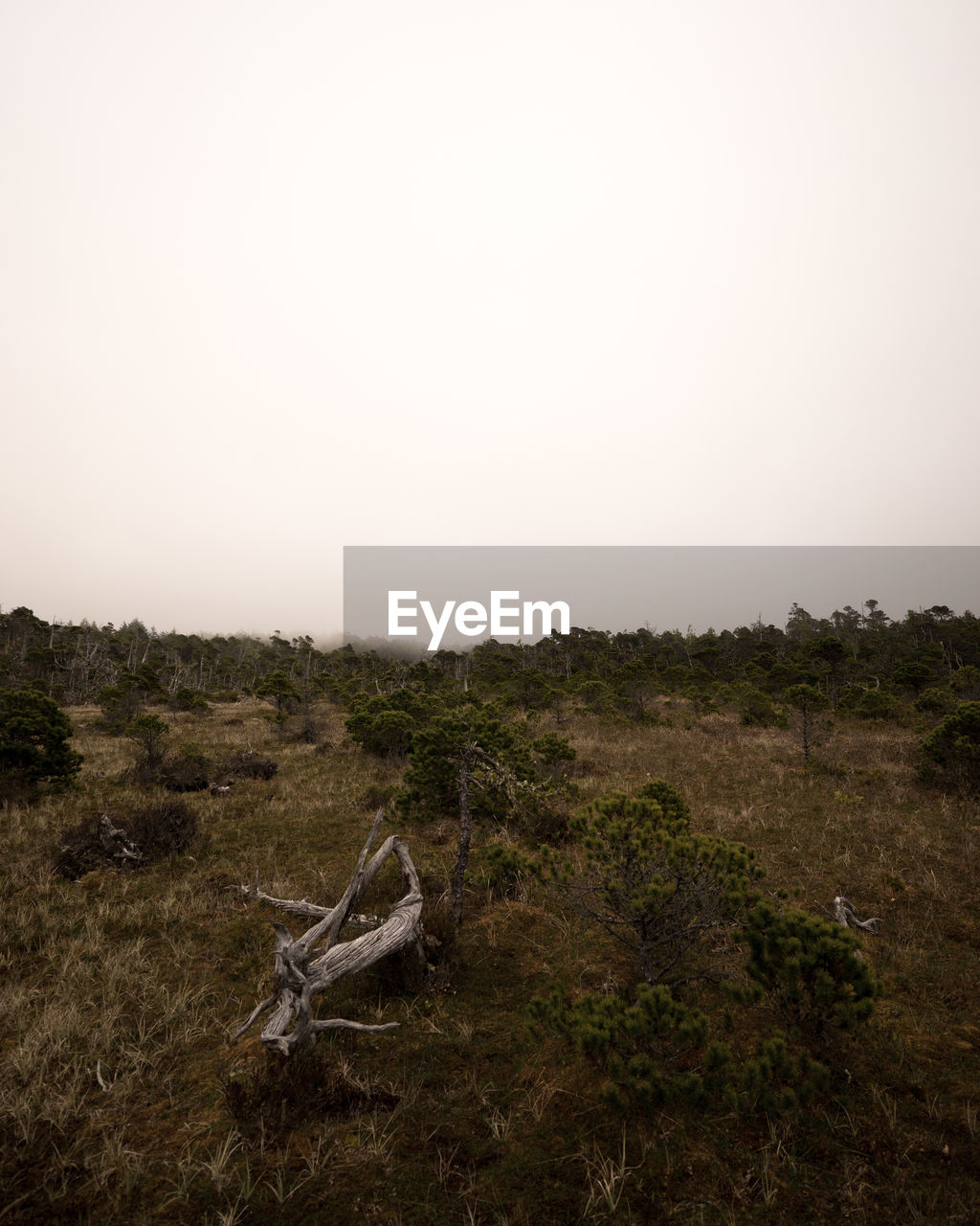 Scenic view of landscape against clear sky