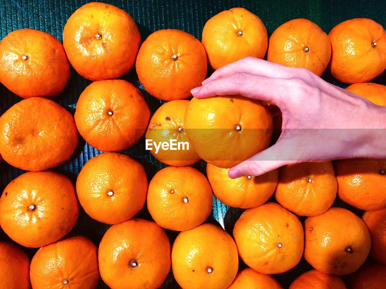 High angle view of hand holding orange fruit in market