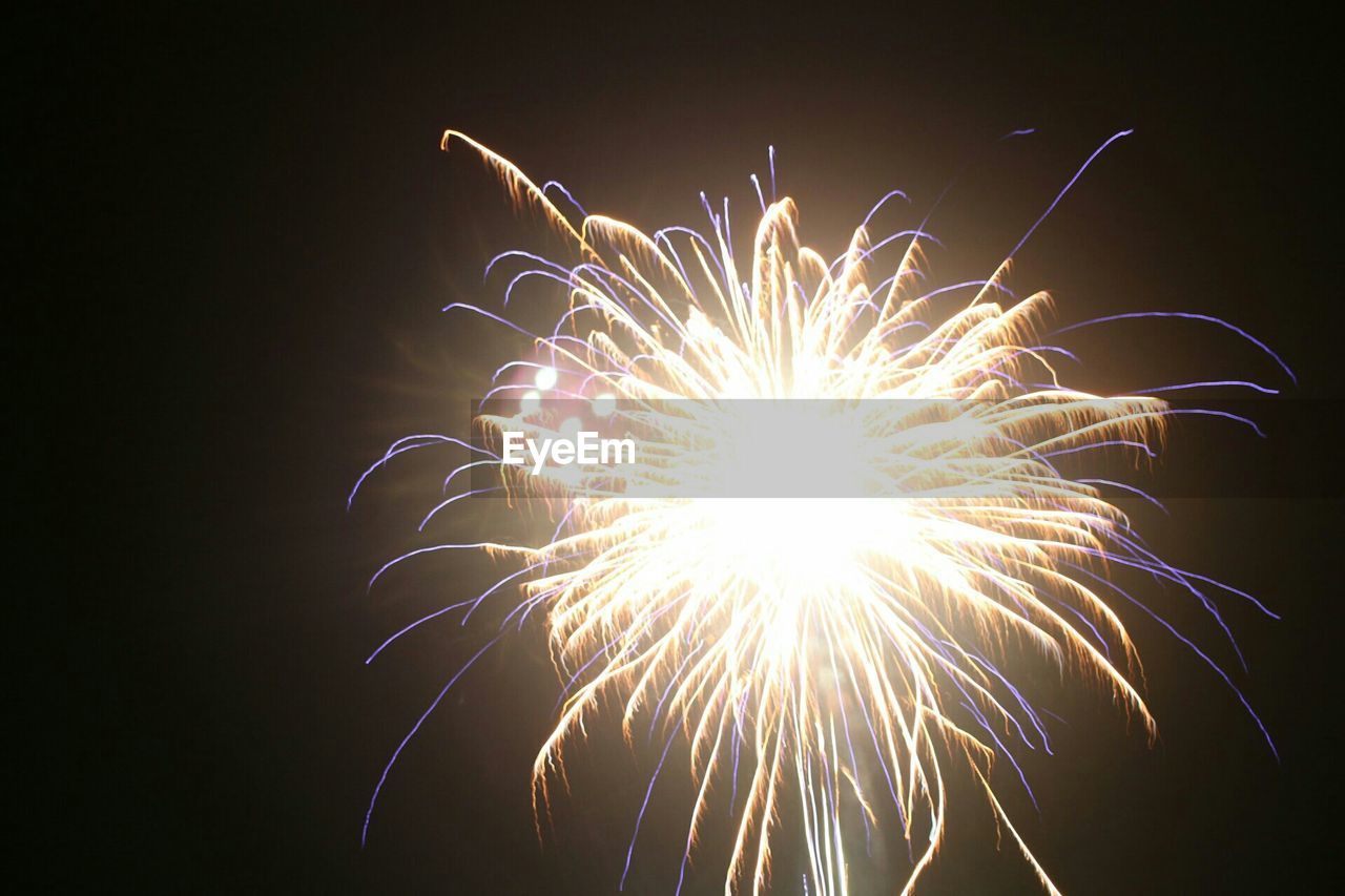 LOW ANGLE VIEW OF ILLUMINATED FIREWORKS