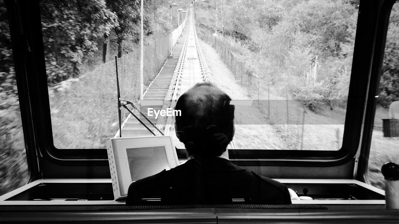 Rear view of driver driving train amidst trees