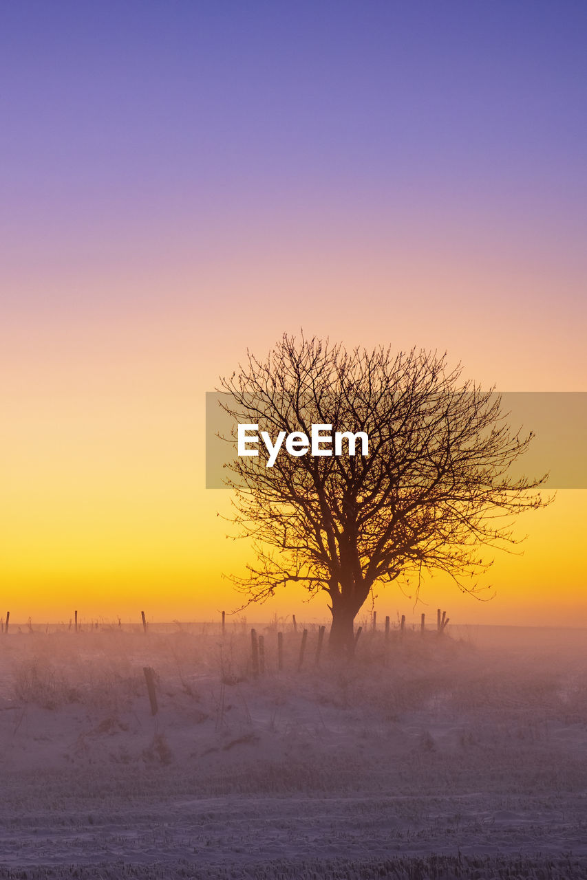 Bare tree on snow covered landscape against sky during sunset