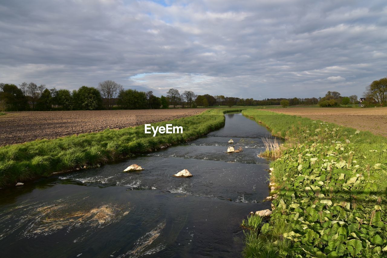 Scenic view of agricultural landscape against sky