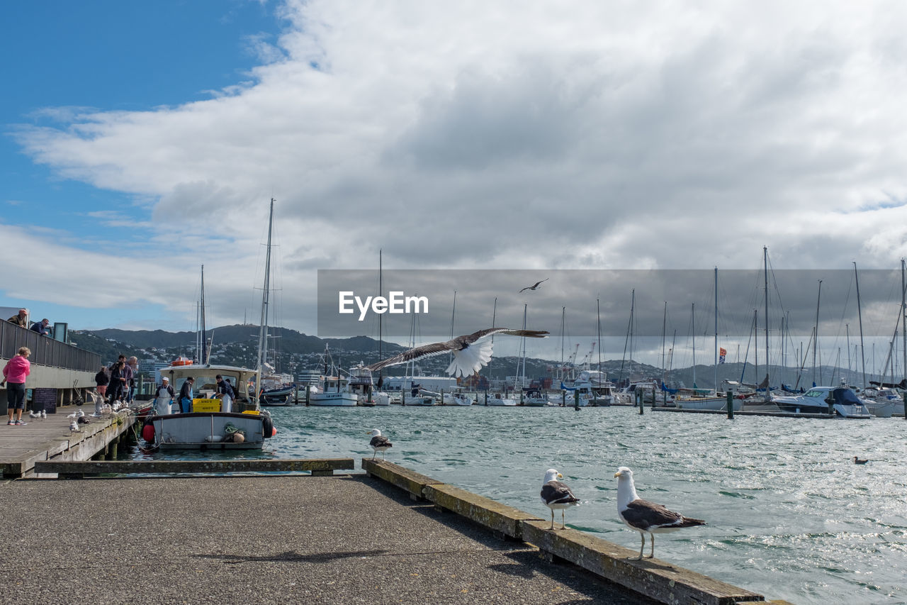 SAILBOATS MOORED ON HARBOR AGAINST SKY