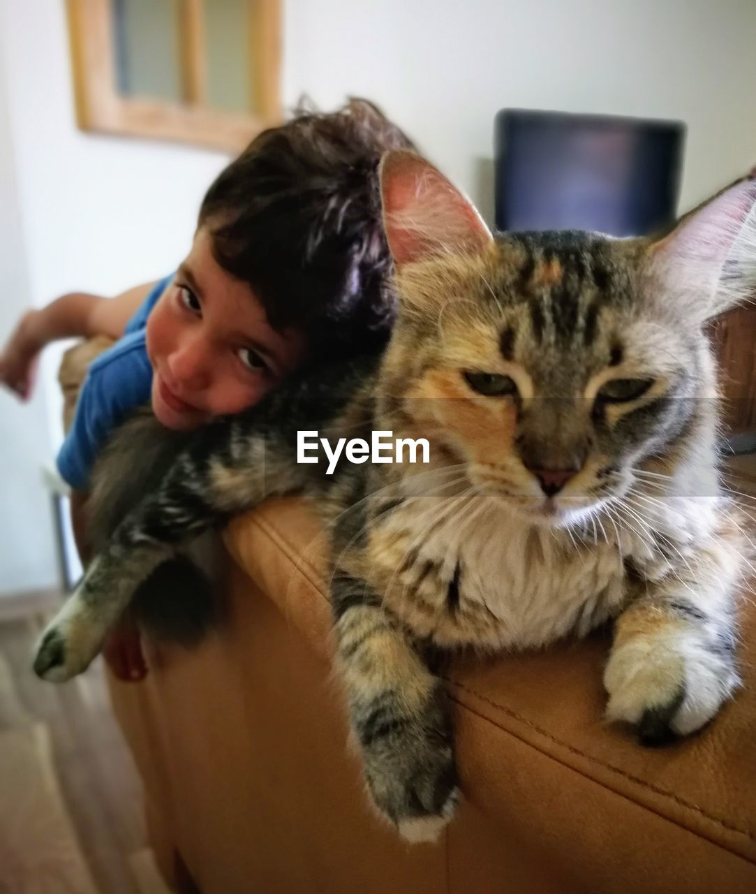 Portrait of cat and boy at home