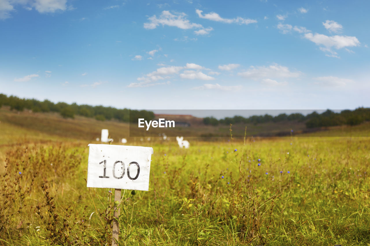 Shooting range out in the open, targets for shooting practice