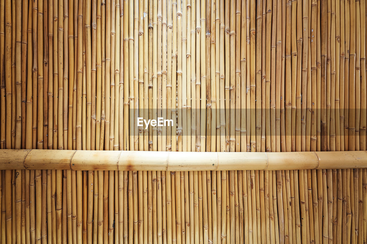 Full frame shot of bamboo