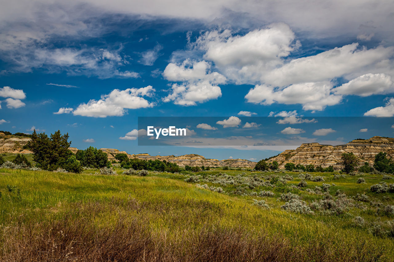 SCENIC VIEW OF FIELD AGAINST CLOUDY SKY