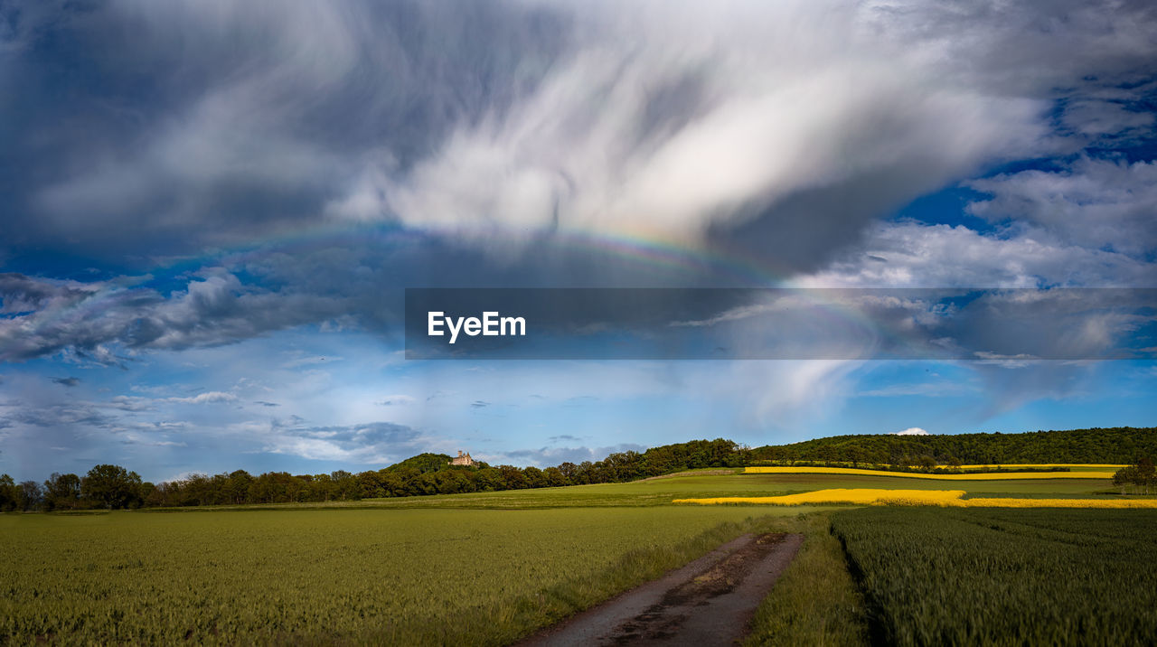 Scenic view of agricultural field against sky