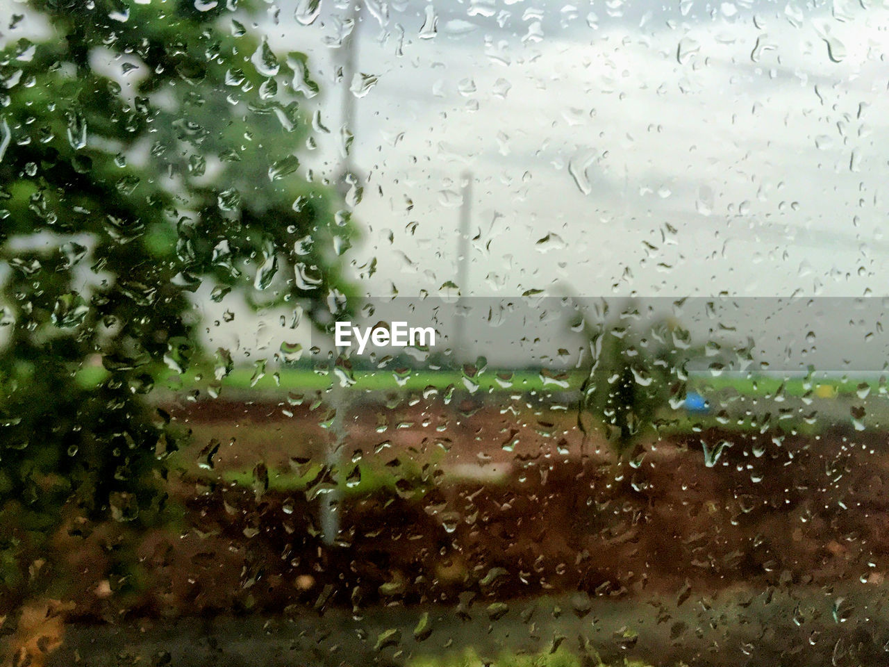 Close-up of water drops on glass window