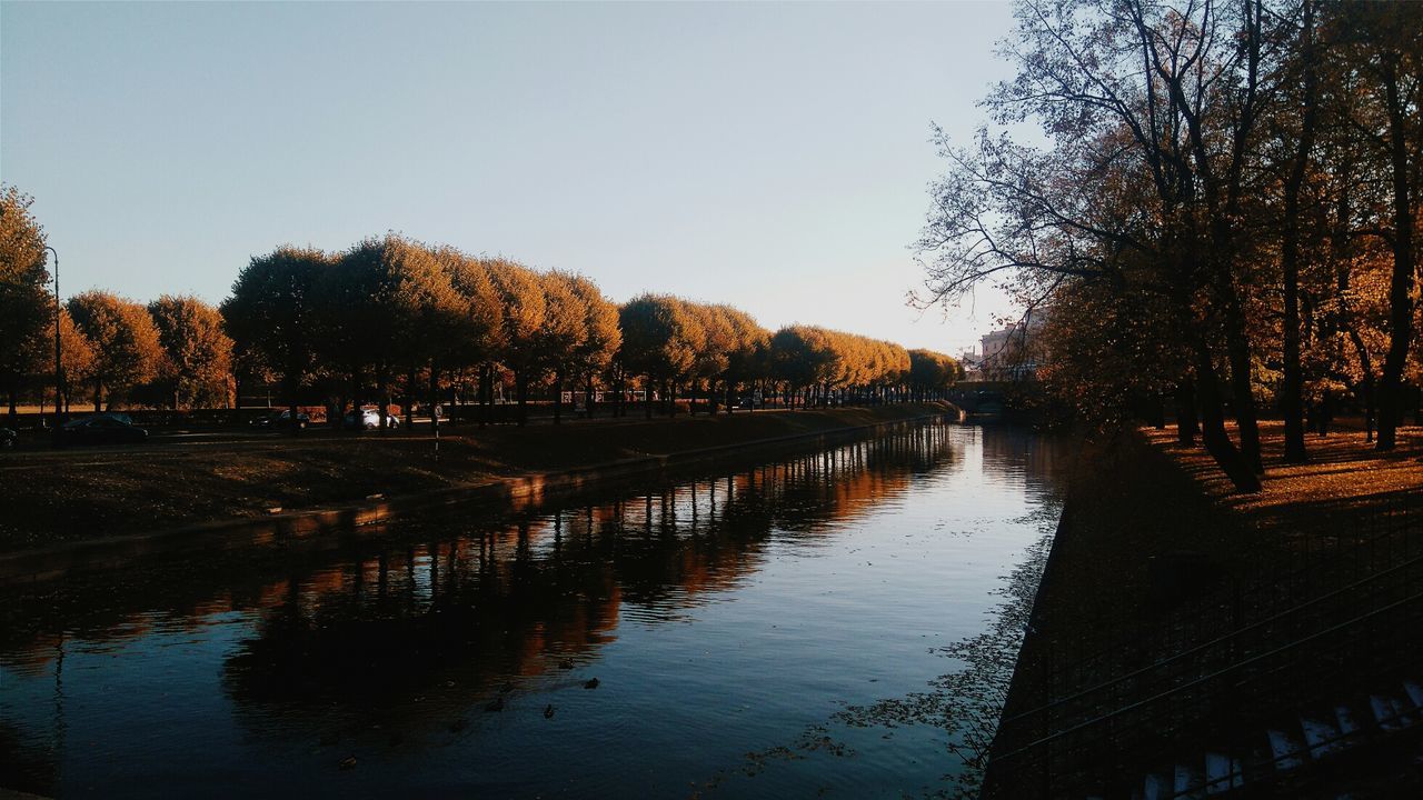 Trees along river