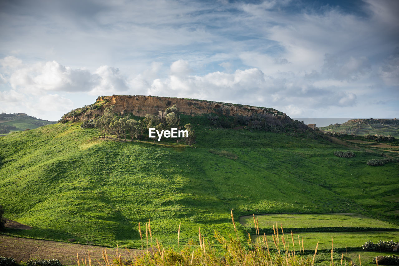 SCENIC VIEW OF GREEN LANDSCAPE AGAINST SKY