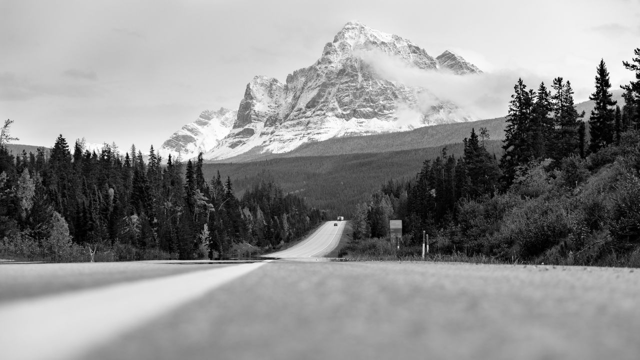 Empty road amidst trees and snowcapped mountains against sky