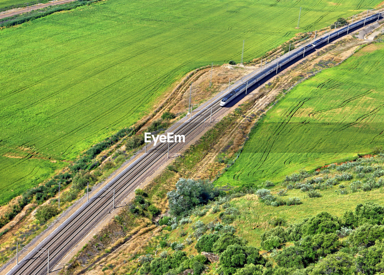 High angle view of agricultural field