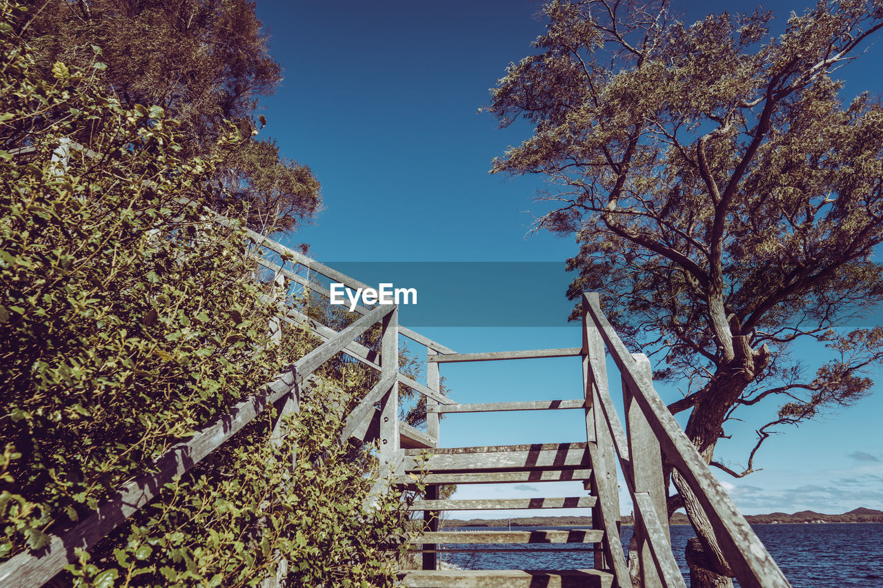 LOW ANGLE VIEW OF STEPS AND TREES AGAINST SKY